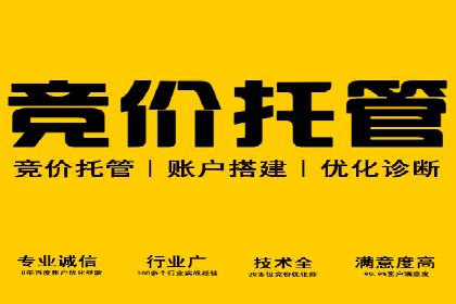 百度SEO推广公司案例解析：揭秘关键词优化技巧